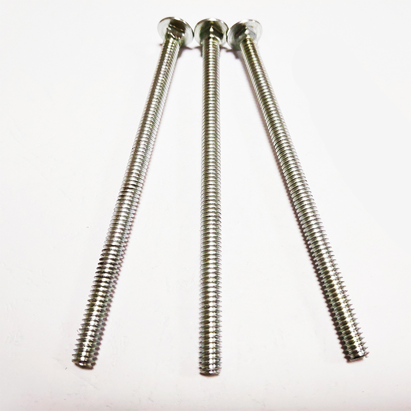 Long screw