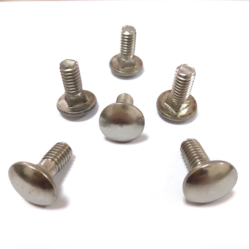 Steel carriage screw